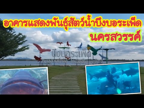 อาคารแสดงพันธุ์สัตว์น้ำบึงบอระเพ็ด
