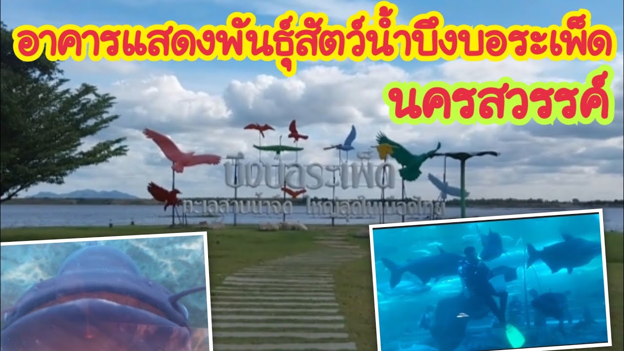 Bueng Boraphet Aquarium