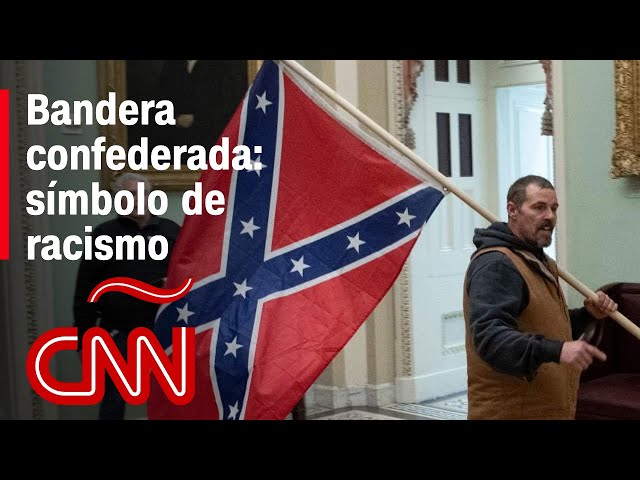 Vídeo relacionado con Eland Bandera Americana de Estados Unidos Bullock 4 de julio Alce Deer USA regalo Sudadera con Capucha