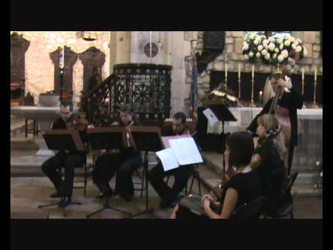 Boda en Comillas 11, Morricone, Professional