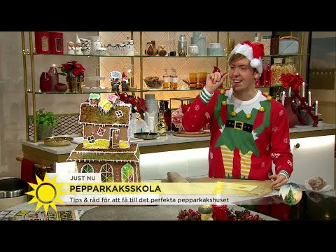 Pepparkaksskola - Så bygger du bäst ett hus - Nyhetsmorgon (TV4)