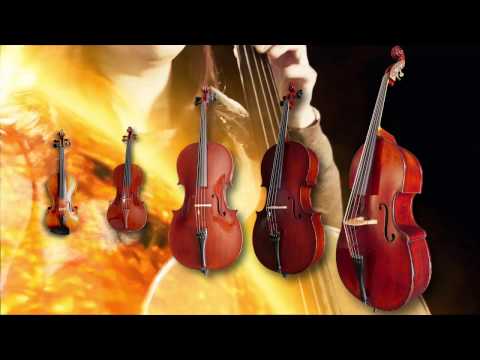 Chris Hein Solo Strings Overview | Best Service