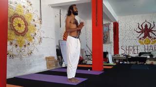 200hour yoga teacher training course in dharamshala