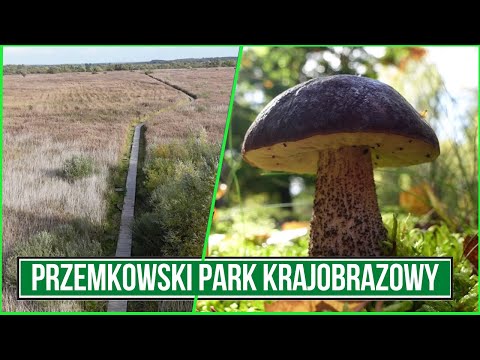 Ciekawostki turystyczne: Przemkowski Park Krajobrazowy | Niezalezna.pl            