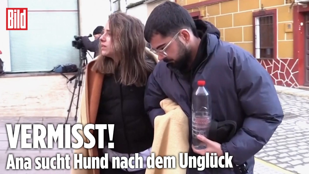 ZUGUNFALL IN SPANIEN: Verzweifelte Suche nach Angehörigen und geliebten Tieren