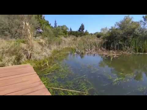 Visita Danza de Agua - Reserva Natural y Casa de Campo Sierras de Aiguá Maldonado Uruguay