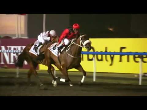 2011 Dubai Golden Shaheen G1 - Rocket Man (火箭人) - F.Coetzee