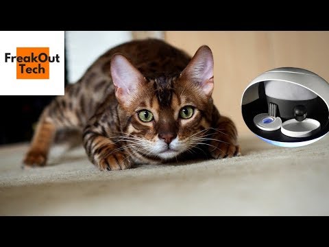 5 Incredible Inventions For Your Cat #4 ✔ Video