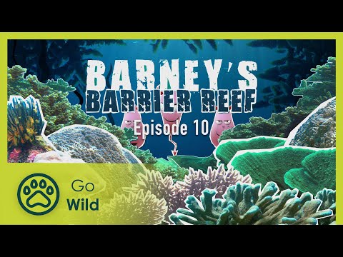 Creepy critters - Barneys Barrier Reef 10/20 - Go Wild