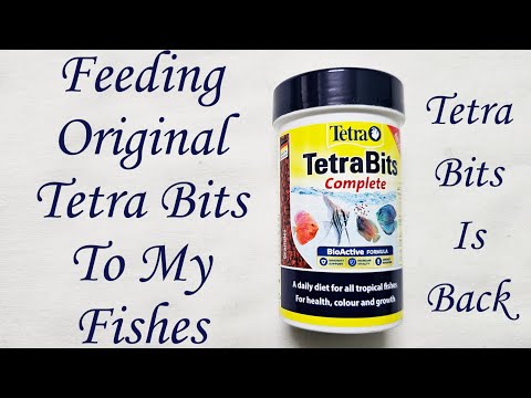 Tetra bits complete fish food 93g container, packaging size:...