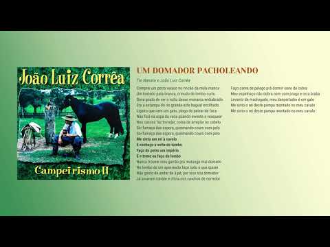 Um Domador Pacholento - João Luiz Correa