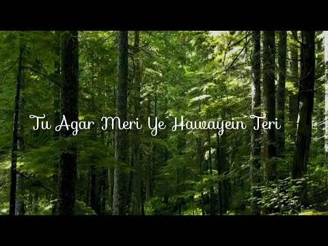 Tu Agar Meri Ye Hawayein Teri arijit singh whatsapp status