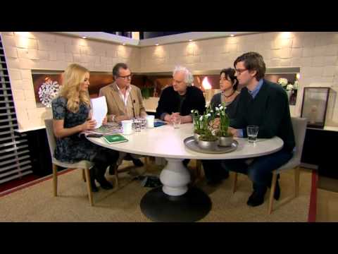Nyhetspanelen om vinster i välfärden - Nyhetsmorgon (TV4)