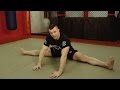 Cro Cops Flexibility Cro Cops Flexibility