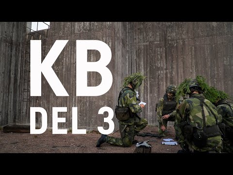Kompani-/plutonbefäl: Vägen till ledarskap. Avsnitt 3 -  "Övning Dolken"