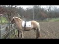 lesson with Will Faeber on Henry