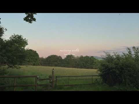 a playlist for a quiet morning ☘️🐈🌻