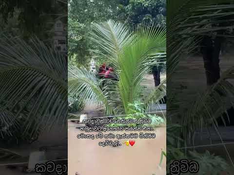 🙏 #viralvideo #1mviewers #love