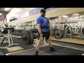 Bodybuilding Back and Bicep Training