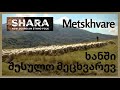 Shara - Metskhvare | შარა - ხანში შესულო მეცხვარევ