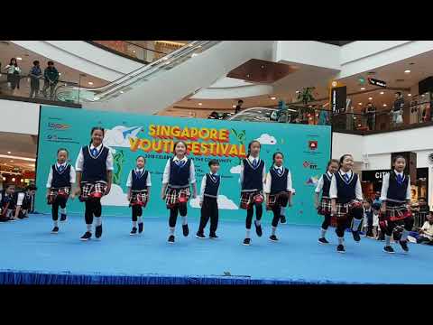 Singapore Youth Festival RVPS