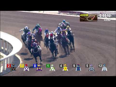 28/11/2021 (207) Everyone's Victory - H Bentley