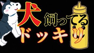 「お前犬飼ってね？」って言わせたら勝ちｗｗｗｗｗ