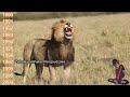 Most Played Zimbabwean Songs 1990 2000