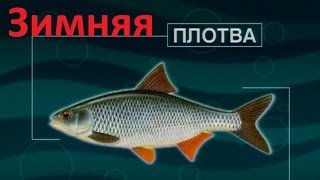 Диалоги о рыбалке зимняя рыбалка