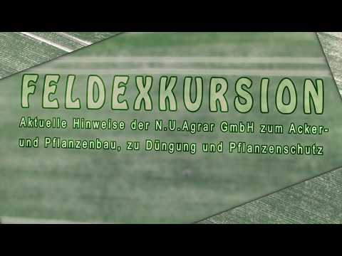 99. Feldexkursion: Durchwuchsraps, Raps im Raps - NU Agrar, 18.07.2018