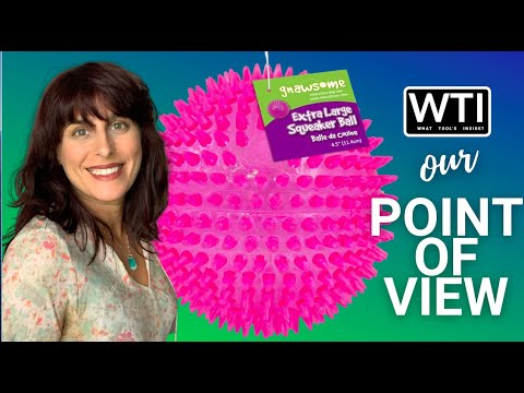Gnawsome Spiky Squeaker Ball Dog Toy - WTI product video review