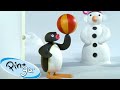 Can He Balance Pingu Official Channel Cartoons For Kids