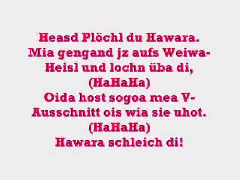 Die Vamummtn - Hawara Schleich Di Lyrics