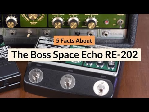 Roland RE-202 Space Echo Multi-Head Tape Echo Pedal image 2