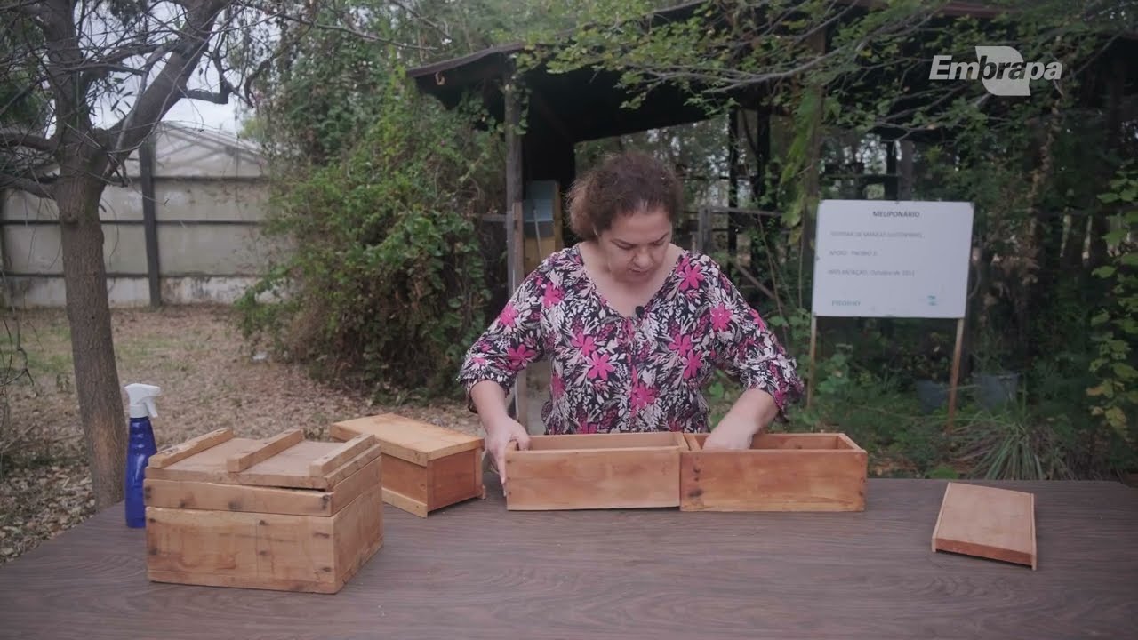 MELIPONICULTURA   Ferramentas utilizadas para a criação de abelhas-sem-ferrão