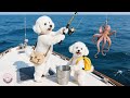 Mom Dog Is Excited About Her Escape To The Secret Fishing Spot With Little Dog Doggo