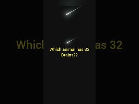 OMG😲😲 32 Brains ##factvideos #animals #shortsfeed @newlightworld7165