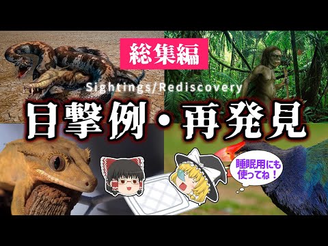 巣箱を外敵から守るためのヒントは何ですか?何をすべきか、何をしてはいけないのか？  庭園