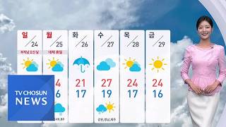 [날씨] 주말, 곳에 따라 비 조금…서울 낮 최고 23도 [뉴스현장]