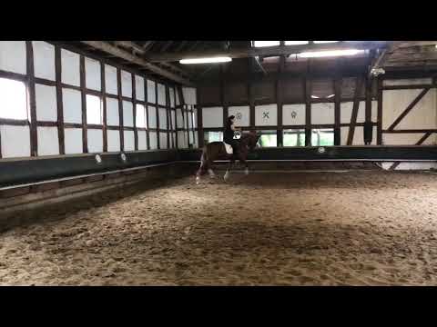 Scuderia/Londenderry 3 Jahre