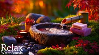 Autumn Water in a Quiet Spa Garden 🍁 Healing Music to Warm a Tired Heart