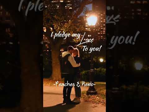I PLEDGE MY LOVE TO YOU -by  Peaches & Herb (music & lyrics)