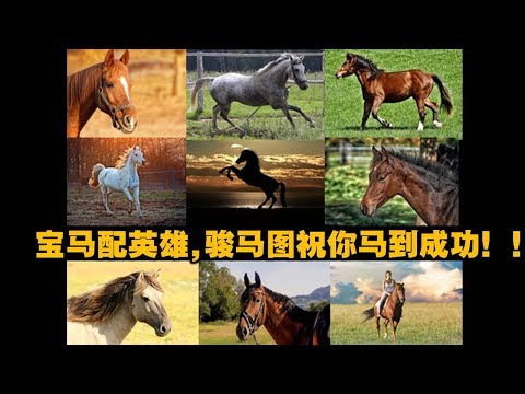 馬到成功圖