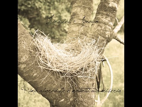 L'ira dell'Agnello - Nu cazzott' 'nda luna