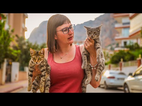 De Dripkitten - I ❤️ STIEJN (Aalst Carnaval 2024)