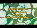 SpongeBob Custom Title Card Series SEASON 46 CLOSING CREDITS
