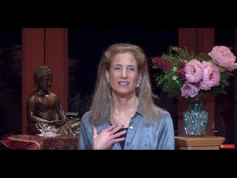 Tara Talks: Seeing What Wants to be Seen