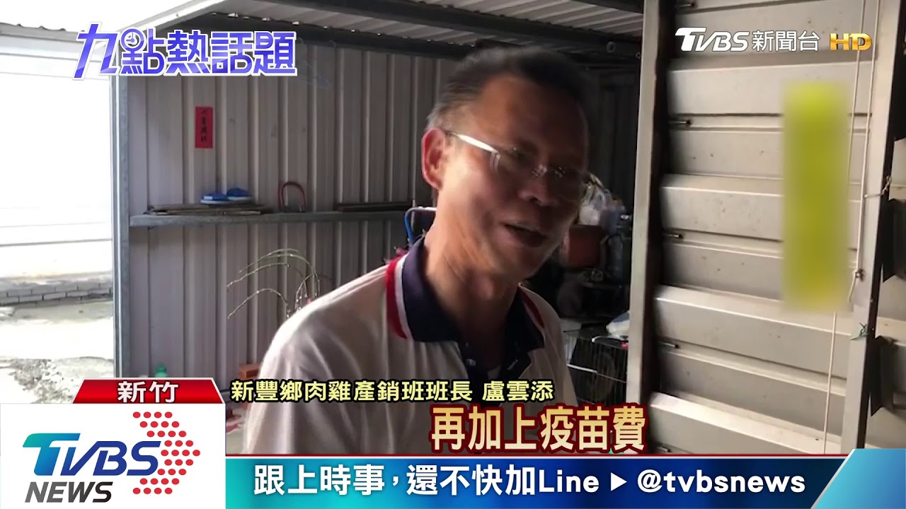 暴雨奪萬條生命！　幼雞滅頂亡雞農損失慘