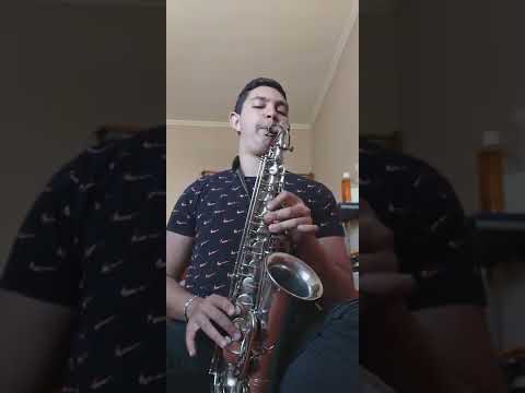 nikola sax  (ziva dinulovic)🎷🎷