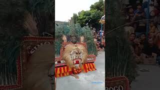 Download lagu SKILL REOG SINGO TATAG SINGO LEMBORO  #reogponorogo #viral #shortvideo #shorts #short #fyp #trending mp3